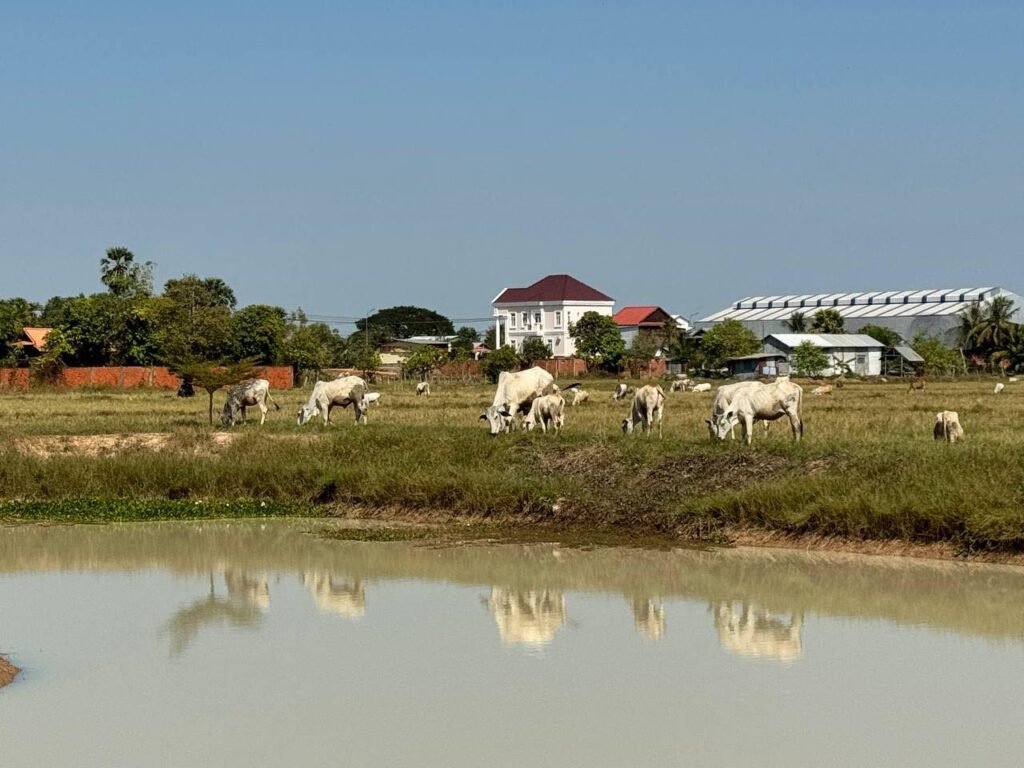 649164526_1506286778163576_7794985993996928436_n