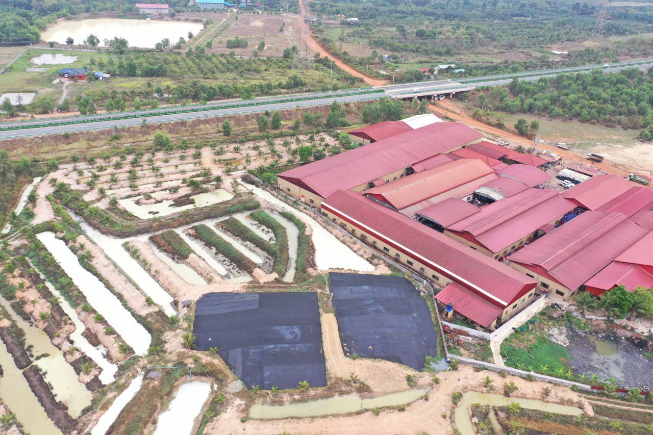 651190374_1260169376304545_2069203748824139567_n